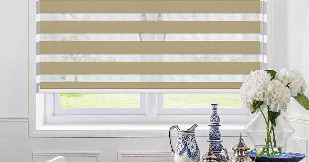 Everything Need To Know About Zebra Blinds
