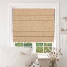 Orizaba Silkmoth Linz Roman