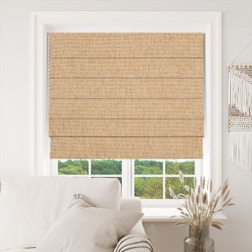 Orizaba Silkmoth Linz Roman