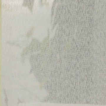 Smoky Off White Misty Volie Sheer Curtains