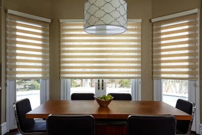 How Zebra Blinds Perfectly Matched Dual Needs of My Interiors